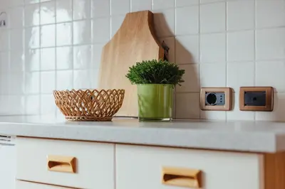 a kitchen counter with a plant in a green container at Oberaldoss Residence Wellness in Santa Cristina in Val Gardena