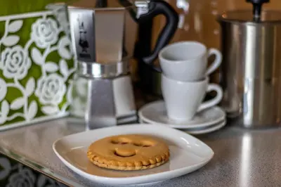 a cookie sitting on a plate on a counter at Casa Waldheim in Brunico