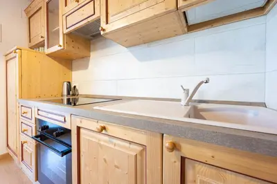 a kitchen with a sink and wooden cabinets at Cesa te Val in Vigo di Fassa