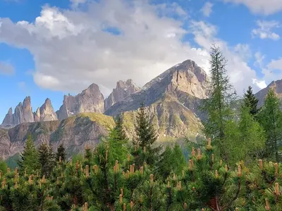a view of a mountain with trees in front of it at La tana del Lupo in Falcade
