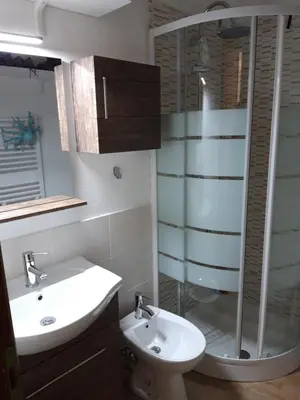 a bathroom with a sink and a shower and a toilet at La tana del Lupo in Falcade