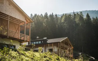 a house on the side of a hill with trees at Biohof Untergröber in Braies