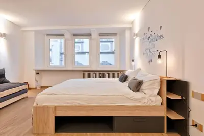 a bedroom with a large bed and two windows at Lauben Flat Bolzano in Bolzano