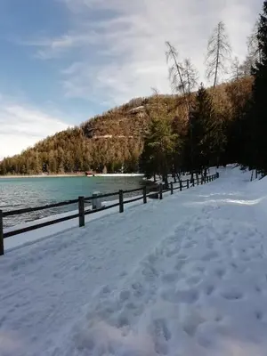 a snow covered beach with a fence and a body of water at Appartamento Rosa in Coredo