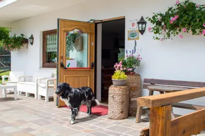 a bedroom with a large bed and a large window at Hotel Garnì Rosengarten in Pera