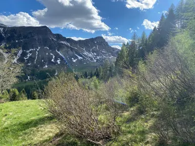 a grassy hill with mountains in the background at Il nido dei gufi in Falcade