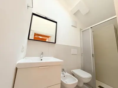 a bathroom with a sink and a toilet and a mirror at Holy View Apartment in Bolzano