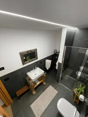 a bathroom with a sink and a shower and a toilet at Appartamento Gioia di Bosco in Carano