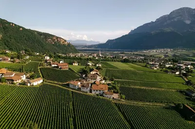 an aerial view of a village in a vineyard with mountains at Karcher-Hof Terlan in Terlano