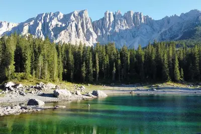 a lake with trees and mountains in the background at Encia's Home Dolomiti in Castello di Fiemme