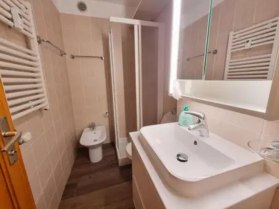 a bathroom with a sink and a toilet at Contrin in Canazei
