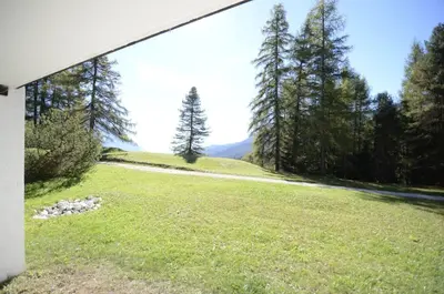 a view of a field with trees and a road at Cà Mughi Studio in Zuel