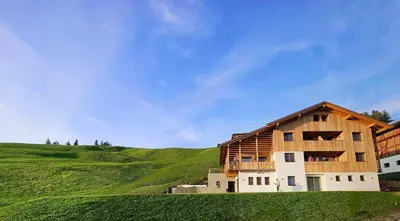a house in the middle of a green field at Chalet Soredlin in La Valle