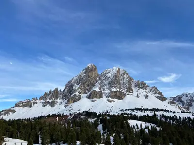 a mountain covered in snow and trees at GSCNARA - APARTMENT LIN in Antermoia