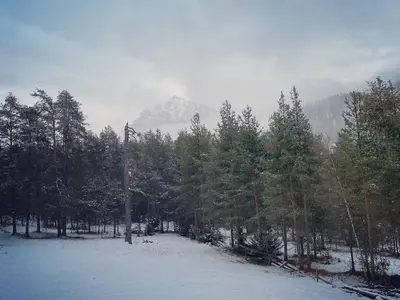a snow covered forest with a mountain in the background at Les Ciases Chalets Dolomites in San Vigilio Di Marebbe