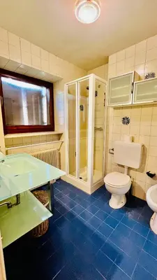 a bathroom with a toilet and a sink at PredazzoHouse in Predazzo