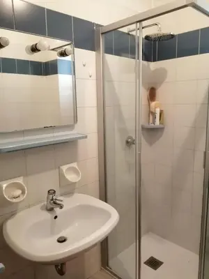 a bathroom with a sink and a shower at Casa FALCADE DOLOMITI in Canale dʼAgordo