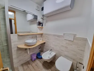 a bathroom with a sink and a toilet at Fraines in Alba di Canazei
