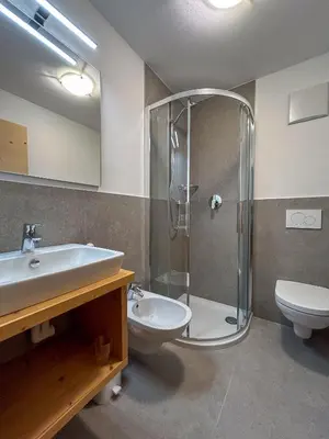 a bathroom with a shower and a sink and a toilet at Appartements ai Sanc in Corvara in Badia