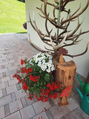 a potted plant with red and white flowers next to a tree at Appartamento l’ Aier - Arabba - Dolomiti in Livinallongo del Col di Lana