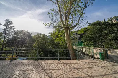 a tree in front of a fence with a tree at Apartment Römerbrücke - Ponte Romano in Merano