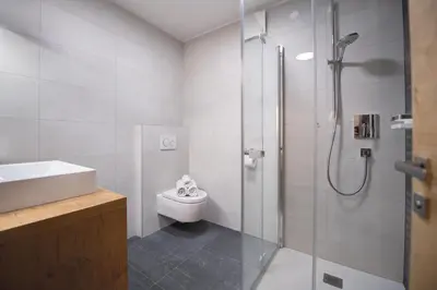a bathroom with a shower and a toilet and a sink at Living Miramor in Racines