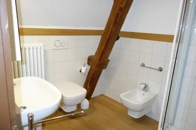 a bathroom with a toilet and a sink at Villa Molteni, Ville di Fiemme, Varena in Varena