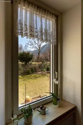 a window with potted plants and a view of a yard at Victoria Apartment in Bolzano