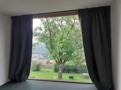 a window with a view of a tree at San Antonia in Caldaro