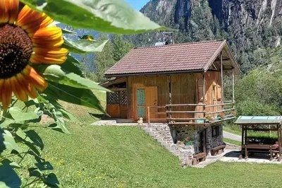a wooden cabin with a sunflower in front of it at Maso Brunetto in Canale San Bovo