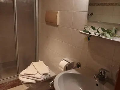 a bathroom with a sink and a toilet and a shower at Portnerhof auf Oberkirn in Schenna