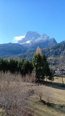 a field with trees and a mountain in the background at Deliziosa mansarda con vista Dolomiti in San Vito di Cadore