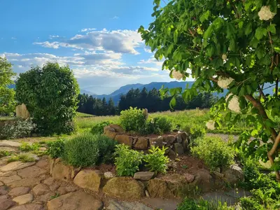 a garden with rocks and plants in a field at Salmsein Biohof in Fiè