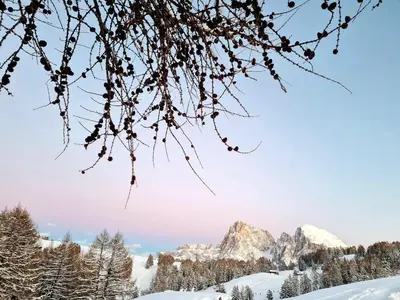 a view of mountains in the snow at Salmsein Biohof in Fiè