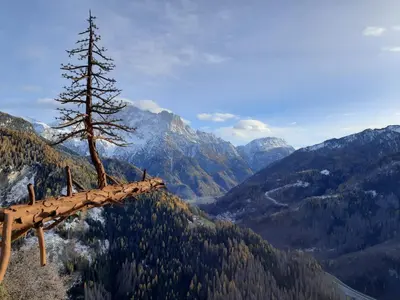 a dead tree on the side of a mountain at Dolomia in Villagrande
