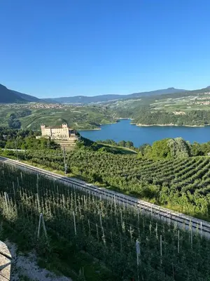 a road through a vineyard and a lake at Val di Non Apartment in Cles
