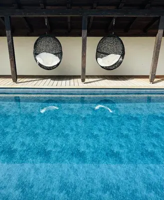 two swans swimming in a blue swimming pool at Rosalie Apartments in Lana
