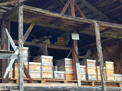 a room filled with wooden boxes in a barn at Neuhäusl-Hof in San Genesio Atesino