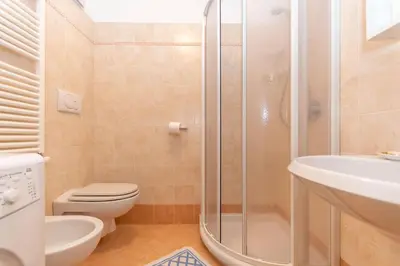 a bathroom with a shower and a toilet and a sink at Casa Freina in Vigo di Fassa