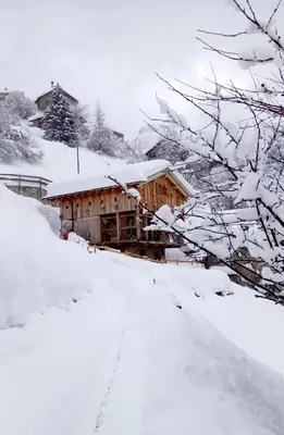 a wooden cabin in the snow with snow covered trees at Chalet-Tabià al Sol montagna Dolomiti Pecol in San Tomaso