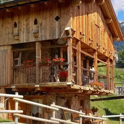 Chalet-Tabià al Sol montagna Dolomiti Pecol