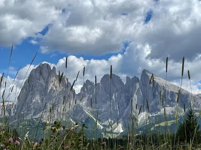 a view of a mountain range with tall grass at Apartment Cesa Collina Superior in Ortisei