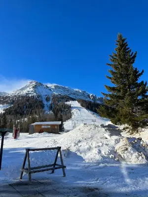 a view of a snow covered mountain with trees at Golf Hotel & Spa Carezza - Appartamenti Panoramici direttamente sulle piste da sci in Bolzano