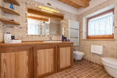a bathroom with a sink and a toilet and a mirror at Chalet Lagusello in Alleghe