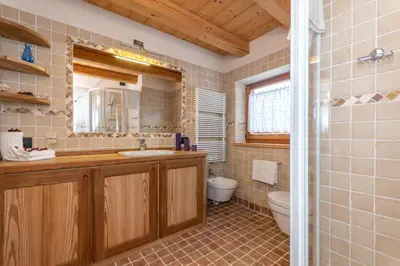 a bathroom with a sink and a toilet at Chalet Lagusello in Alleghe