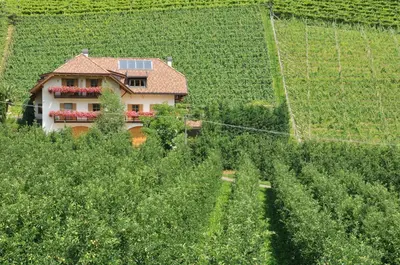 a house in a field with solar panels on it at Spiegelhof in Appiano sulla Strada del Vino