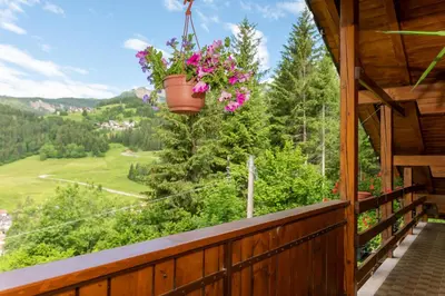 a balcony of a cabin with flowers in a pot at Casa Fagher in Canale dʼAgordo