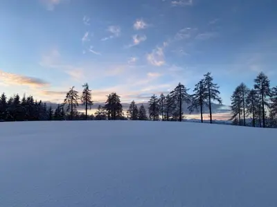 a snow covered field with trees in the background at Michlhaus nature and suites in Aldino