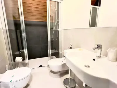 a bathroom with a toilet and a sink and a shower at Hotel Regina del Bosco in Ronzone