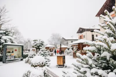 a snow covered garden with a christmas tree at Apartsuites Rosengarten in Lagundo